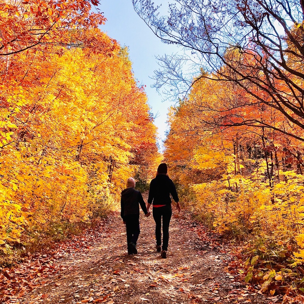 Meet your Posher, Bronwyn